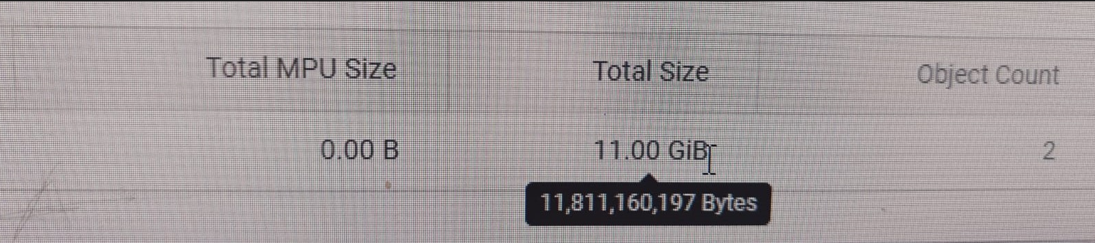 將滑鼠停留在 UI 中的 11.00 GiB 上會以位元組為單位顯示。