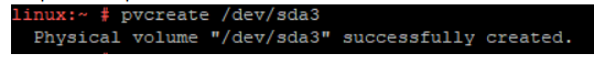 Executing pvcreate “partition name”