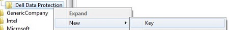 New Dell Data Protection key