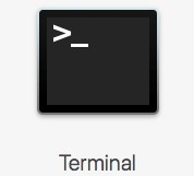 Terminal