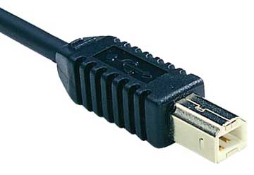 USB Type-B plug or connector