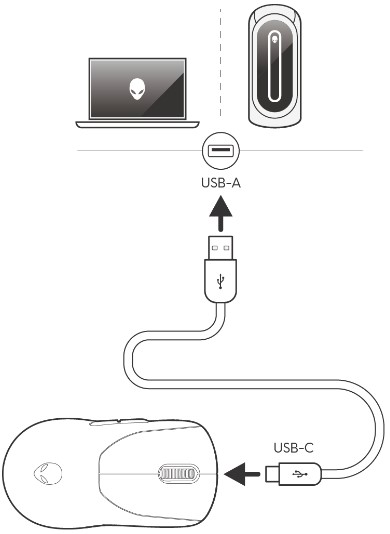 Connexion filaire