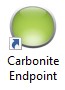 Bilden visar Carbonite Endpoint-ikonen.