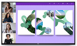 Captura de producto de P5524Q