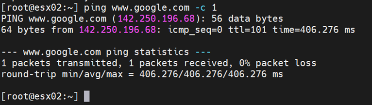Esempio di output del ping google.com