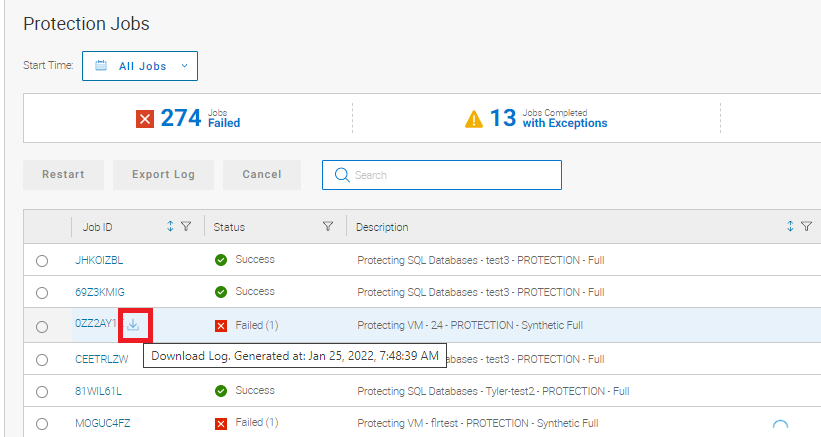 Rysunek 4. Wybierz opcję Download na ekranie Protection Jobs