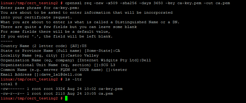 Generare un certificato CA pubblico