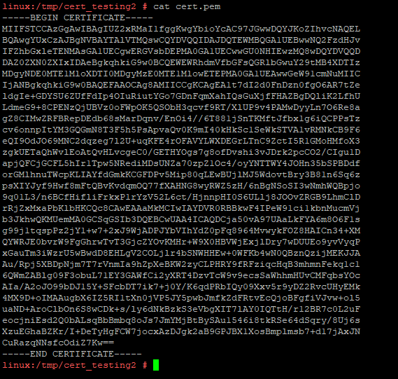 cert.pem-utdata