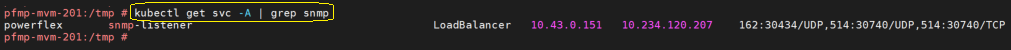 Output example of kubectl get svc command
