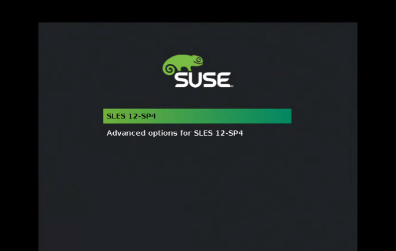 Aprire la console della VM per visualizzare una schermata simile alla seguente: