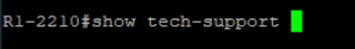 Saisissez manuellement la commande show tech-support