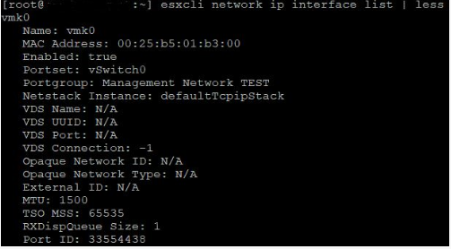 VMkernel 인터페이스