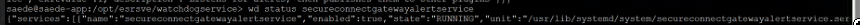 SCG CLI Session