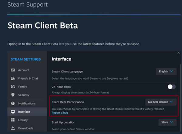 Snímek obrazovky podpory služby Steam
