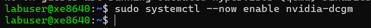 > sudo systemctl --now enable nvidia-dcgm