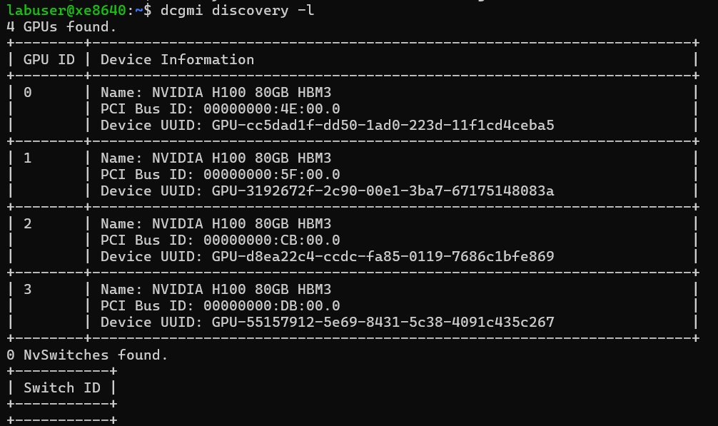 執行「dcgmi discovery -l」的終端機輸出