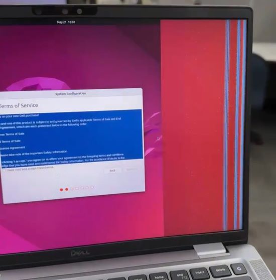 Videoverzerrung auf der rechten Seite des Bildschirms
