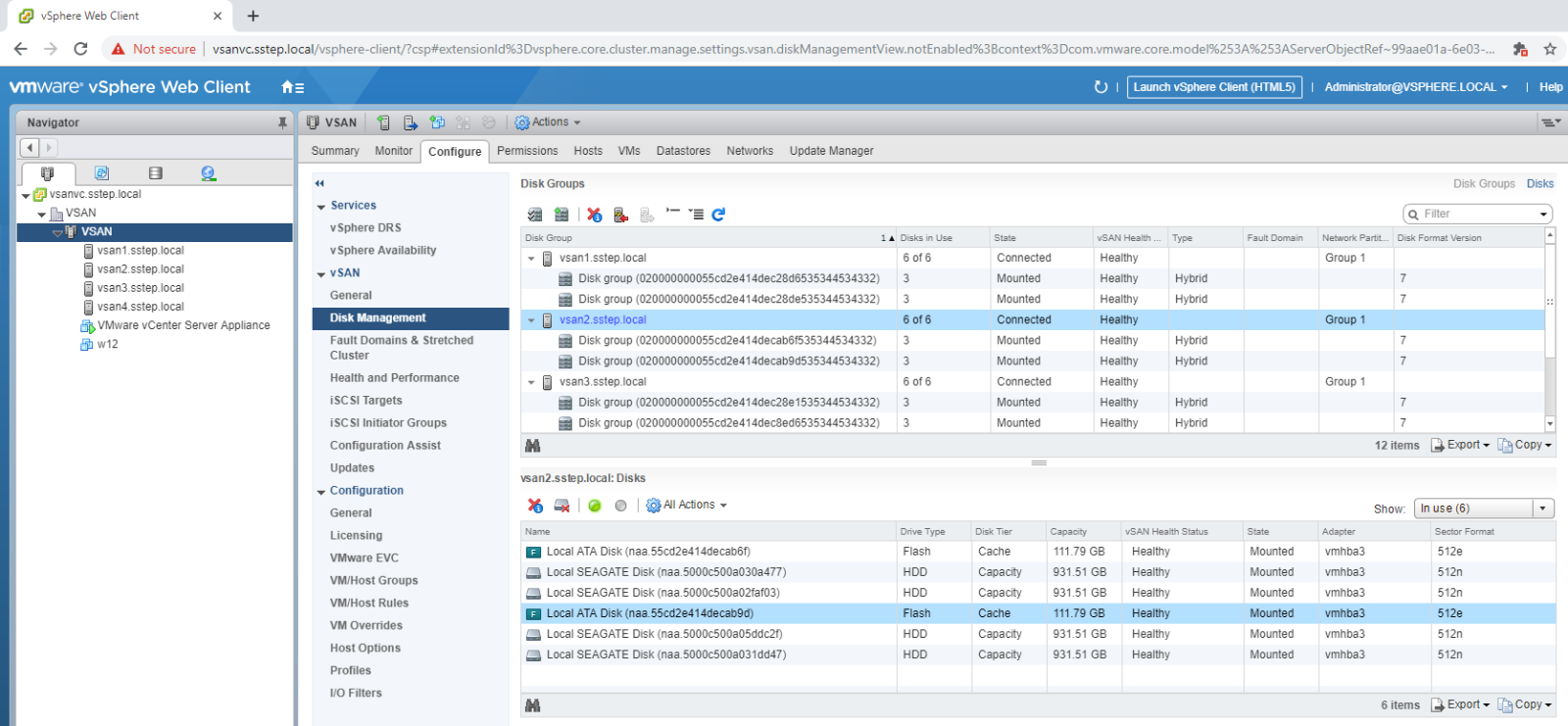 Sección Administración de discos vSAN de la interfaz de vCenter vSphere Versión flash