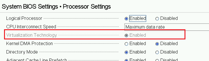 Screenshot of BIOS Setup Virtualization Technology