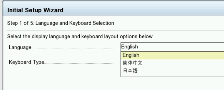 Pantalla de selección de idioma del asistente de configuración inicial