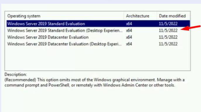 Screenshot of OS Installation version selection