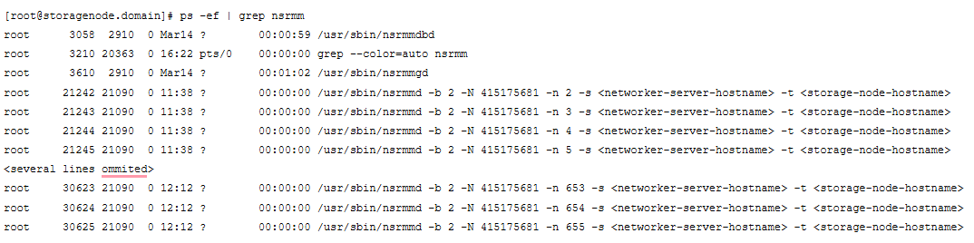 Immagine dell'output della riga di comando di PS -EF | grep nsrmm
