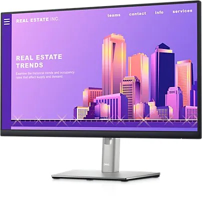 Dell P2422H Monitor Usage and Troubleshooting Guide | Dell