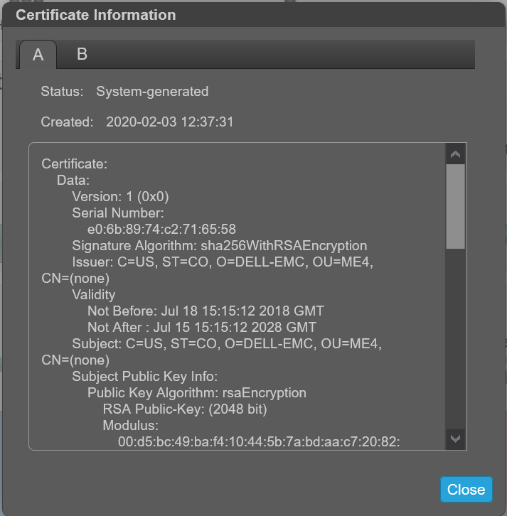 A imagem mostra a saída do certificado gerado pelo sistema