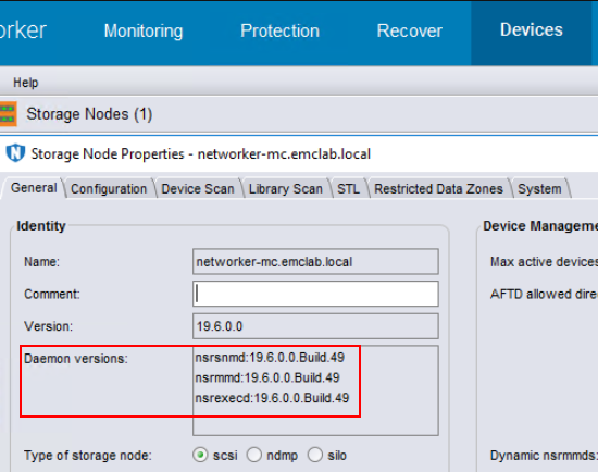 NetWorker Storage Node Details