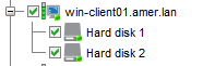 VM selection in a protection group