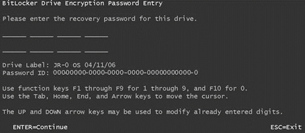BitLocker Drive Encryption Password Entry Screen
