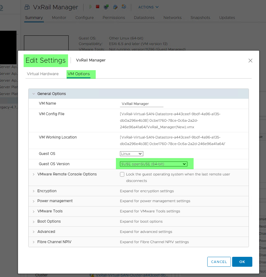 Screenshot of correct guest OS setting