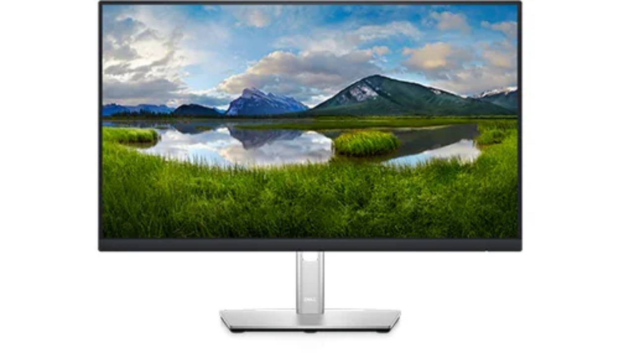 Image depicts the P2422HE Monitor