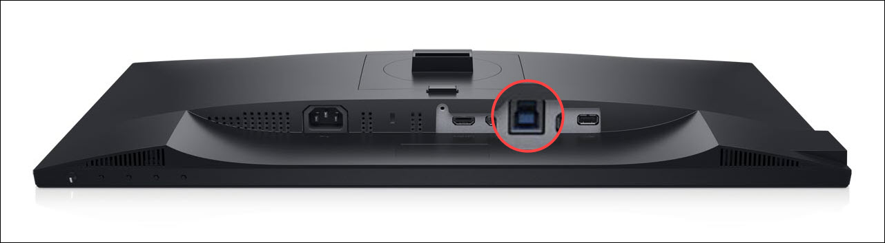 Exemple d’écran&nbsp;P2421D avec port&nbsp;USB-B montant