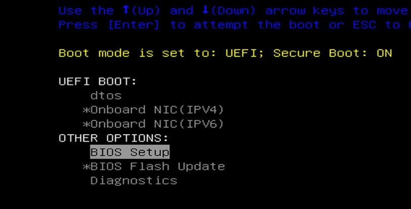 BIOS setup