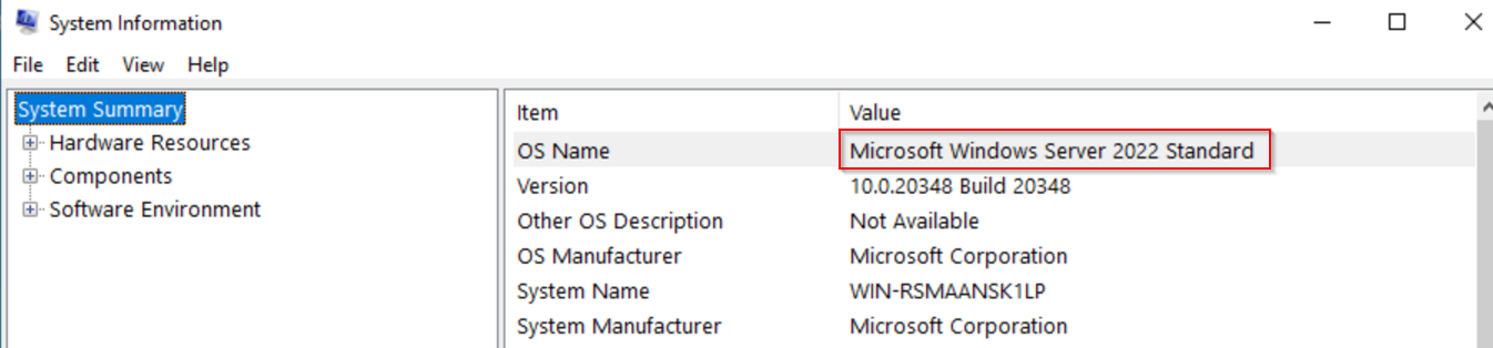 W2K22-essentials-SysInfo.png