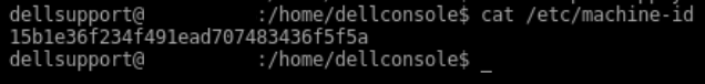 L'immagine mostra il comando cat /etc/machine-id in Shell.