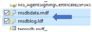 Toont de standaard MSDB-database- en logbestandslocatie in de SQL Server-toepassingsmap. 