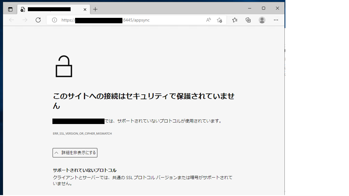 Z japonského systému Windows Server 2019, kde je nainstalován software AppSync 4.5