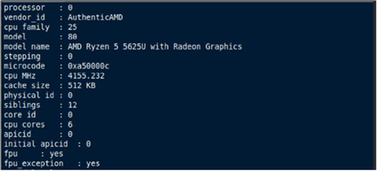 Eksempel på AMD-processor i Linux