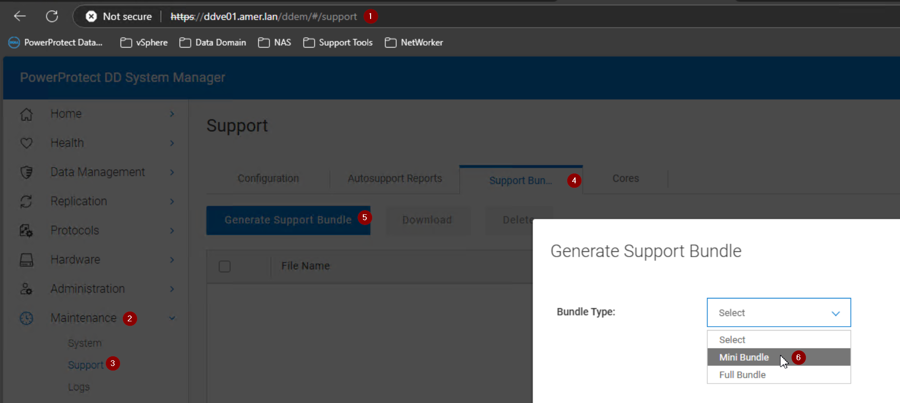 Power Protect Data Domain System Manager Log collection
