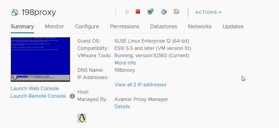 Verificar a versão no cliente vSphere