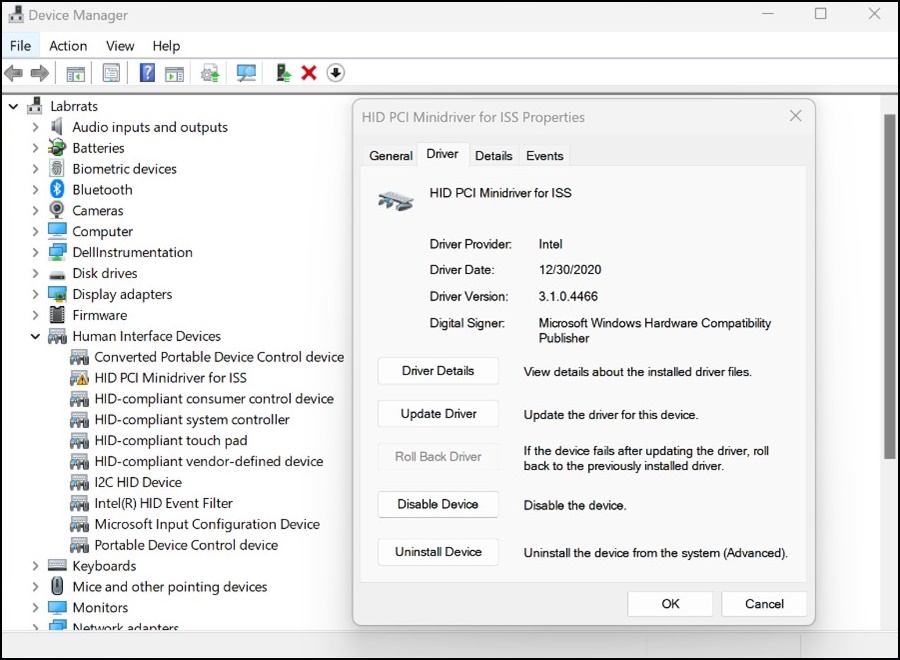 Информация о мини-драйвере HID PCI в Диспетчере устройств Windows для ISS