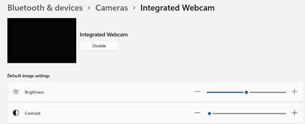 Integrated Webcam Settings