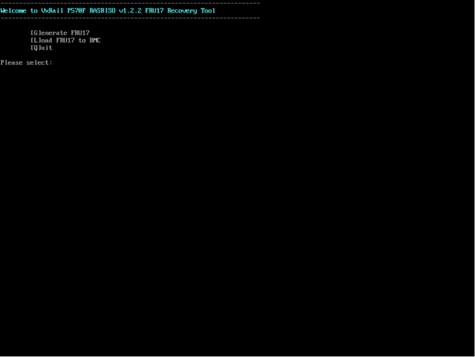 Screenshot of the first boot screen when booted to the recovery tool.
