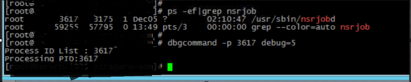 Festlegen des Debuggings für den nsrjobd-Prozess