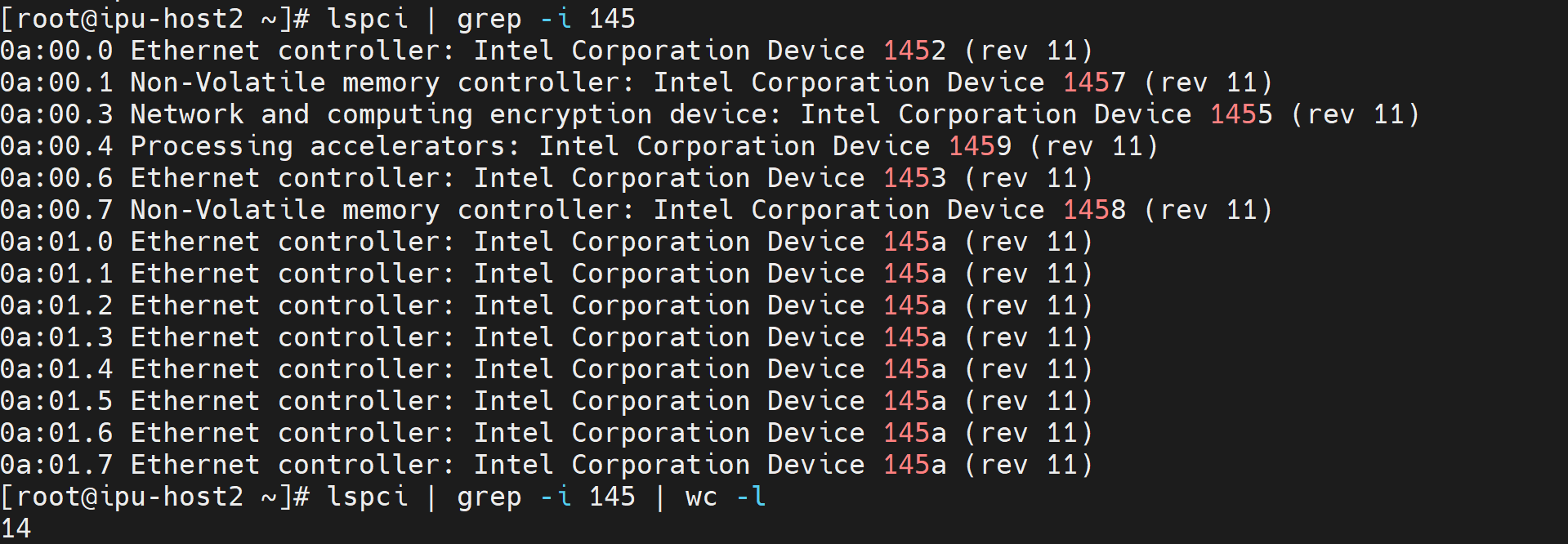 OS LSPCI showing multiple partitions