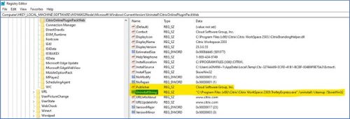 Citrix Workspace 用戶端登錄檔範例