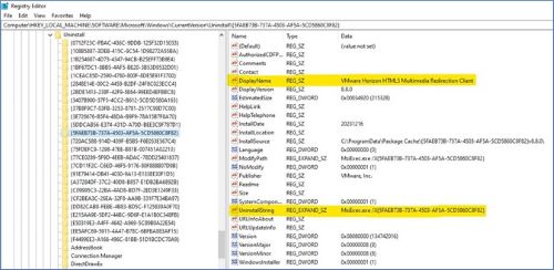 VMWare Horizon 用戶端登錄檔範例