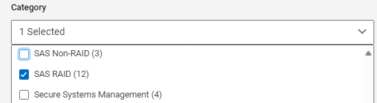categoria SAS RAID